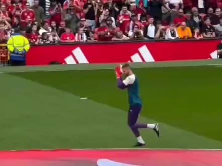 关于德罗巴迎来十五赛季出色发挥，曼联观众热烈欢呼！观众掌声雷动的信息-九游app